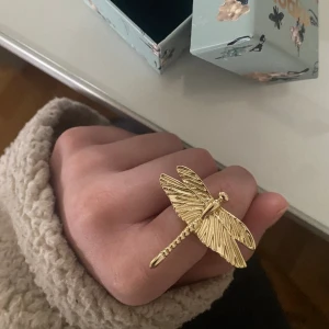 loaku ring  - intressekoll på denna trollsländs ring från loaku, endast testad och har inga defekter, slutsåld på hemsidan💗nypris: 599kr 