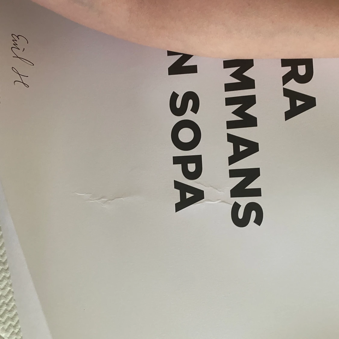 emil hansius tavla  - 90