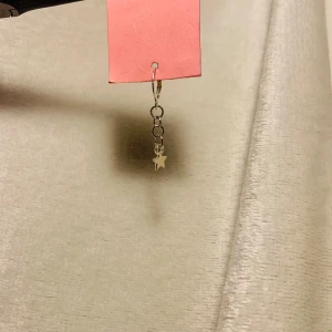 Star🩷 - Ett silvrigt örhänge med stjärna som passar väldigt bra om man har Sthlmstil! Ja, det går att styla med många av våra örhängen exempelvis det långa nit örhänget! Säljs styckvis🎀🩷