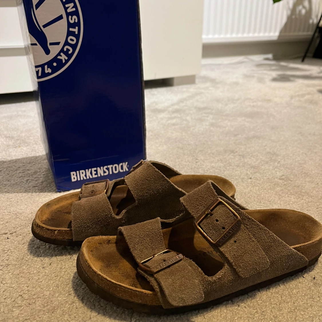Birkenstocks