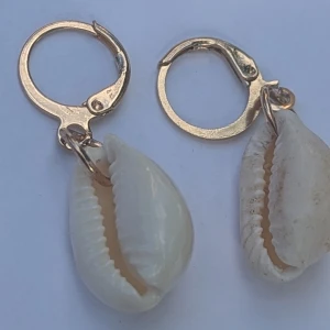 Örhängen med snäckskal - Ett par örhängen med guldfärgade ringar och hängande snäckskal. Snäckskalen är vita och naturliga i formen.