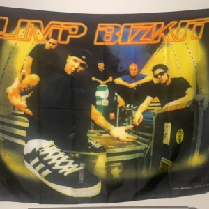 limp biscuit  - Fint skick säljer för ja inte lyssnar på dem 