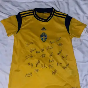 Signerad Sverige tröja i storlek L 23 signeringar på samma tröja från A-lags spelare i det svenska A laget! 800kr pris kan diskuteras!