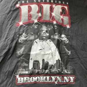 b.i.g tröja  - Säljer min b.i.g tröja ,nästan aldrig använd säljer för jag inte använder den längre väldigt stor så passar L 