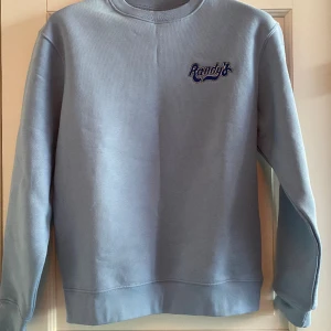 Ljusblå tröja från zara med tryck - Snygg ljusblå tröja från zara med broderat tryck. Helt oanvänd pg icke min stil. Relaxed passform. Köpt för 550kr. 