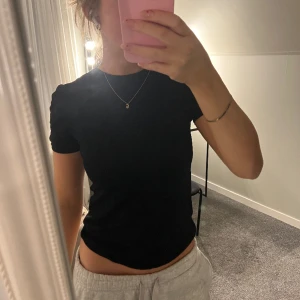 Svart T-shirt  - Svart kortärmad tröja från zara knappt använd och kommer ej till användning