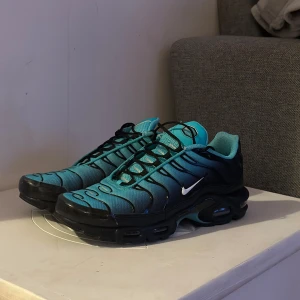 Nike tn air max retro blue - Köpta i London niketown för 2500 och jag säljer dom för ingen användning. Har ingen orginal låda tyvärr. Finns att hämta i Boden och Luleå och kan fraktas:) Lite små i storlek så passar 43 också.
