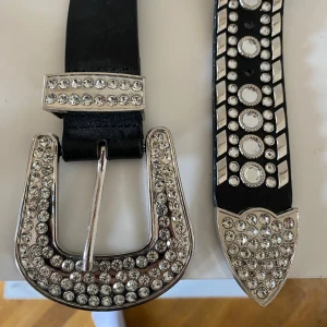 BAPE BELT - använder aldrig inte äkta 