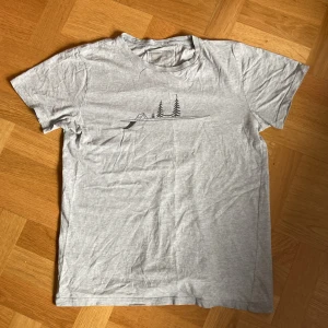 Dedicated T-Shirt Grå - Grå Dedicated T-Shirt storlek Medium. CampSurf Print