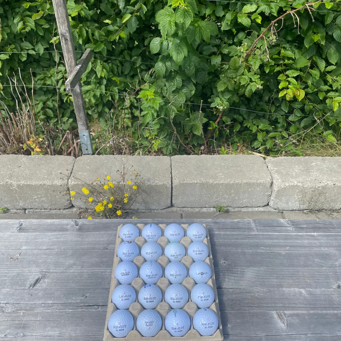 Top-flite golfbollar olika modeller  - 90
