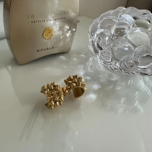 Edblad örhängen guld  - Kommer inte till användning 