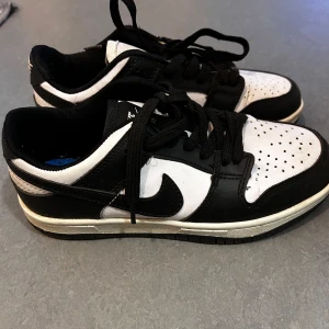 Dunk/panda skor - Det är två olika par, men det syns inte. Inte äkta. 