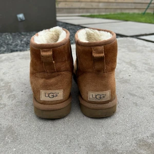 Bruna Uggs 🤎 - Bruna medelhöga Uggs 🤎 Tecken på användning 🤎