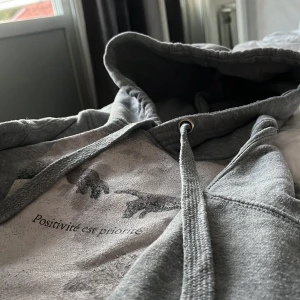 Hoodie🩶 - Använd några få gånger! Helt i nytt skick jätte skön och passar både dom som har Xs och S då jag själv har S i vissa tröjor å XS i vissa men denna passar perfekt!💕 köpte den för runt 400