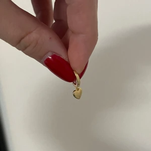 Örhängen  - Oanvända örhängen 