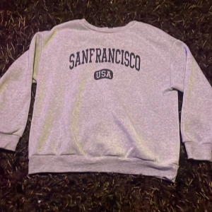 Tjock långärmad - Grå långärmade med SanframsistcoUSA  tryck