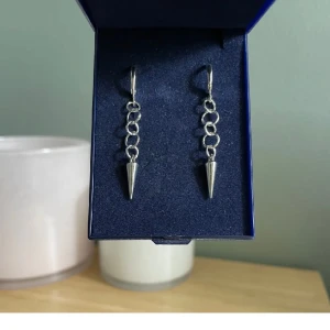 Silver örhängen - Säljer mina silver örhängen då jag inte använder dom! Oanvända! 💗