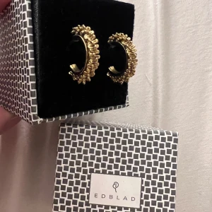 Edblad - Säljer dessa ursnygga örhängerna från Edblad, jag har endast använt de 2-3 gånger. 