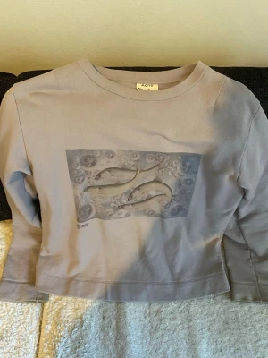 Acne sweatshirt  - Acne oslavi p fish css18 size s ej använd så mycket och passar nån som e runt 170-175cm . Kan mötas Sthlm eller köparen står för frakt 