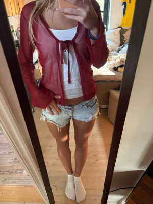 Vinröd meshtröja med knyt framtill - Säljer en tunn, vinröd meshtröja med långa ärmar och snygg knytning framtill. Tröjan är croppad och har en lätt transparent look som ger en trendig vibe. 