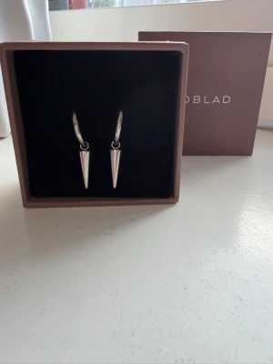Silvriga örhängen ifrån Edblad  - Snygga örhängen i silverfärg ifrån Edblad🤗