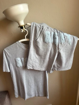 Grått set med texten RISKY - Säljer ett grått set med t-shirt och shorts. Båda delarna har texten 'RISKY' i fluffigt ljusblått material på bröstet och benet. Setet är gjort i mjukt bomullsliknande tyg och har en avslappnad passform. Perfekt för chill hemma eller mysiga kvällar.
