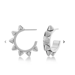 Edblad örhängen - Säljer dessa örhängen från Edblad då de ej kommer till användning längre. De är i nyskick och endast använda 1-2 gånger. Nypris 399kr.