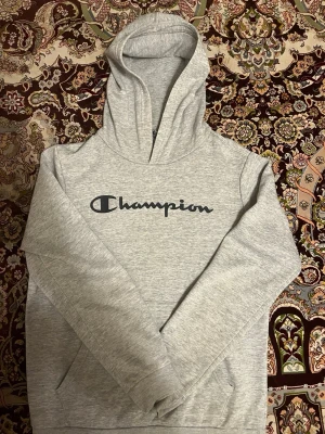 Champion hoodie - En grå Champion hoodie, storlek XL / 163-167cm