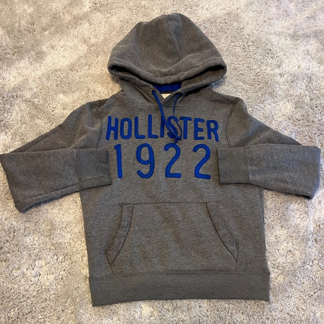 Grå Hollister hoodie med blå tryck