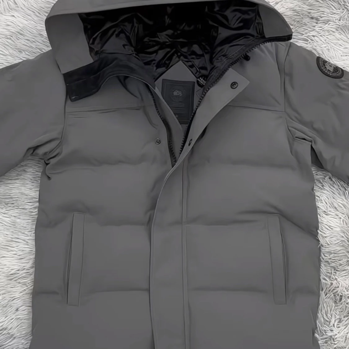 Canada goose MACMILLAN