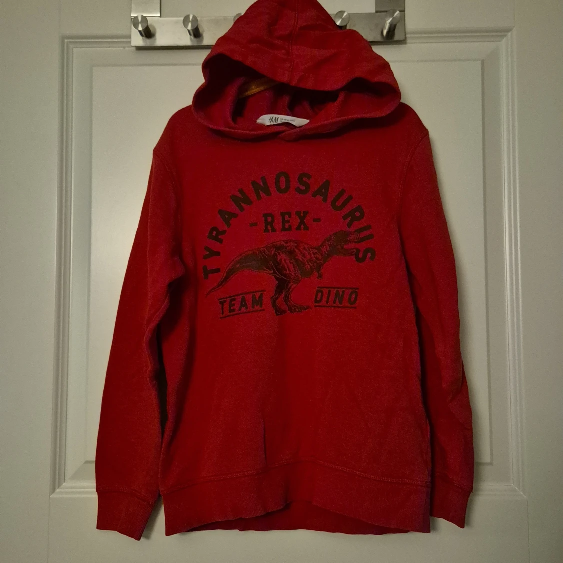 Röd hoodie med T-Rex från H&M - 1