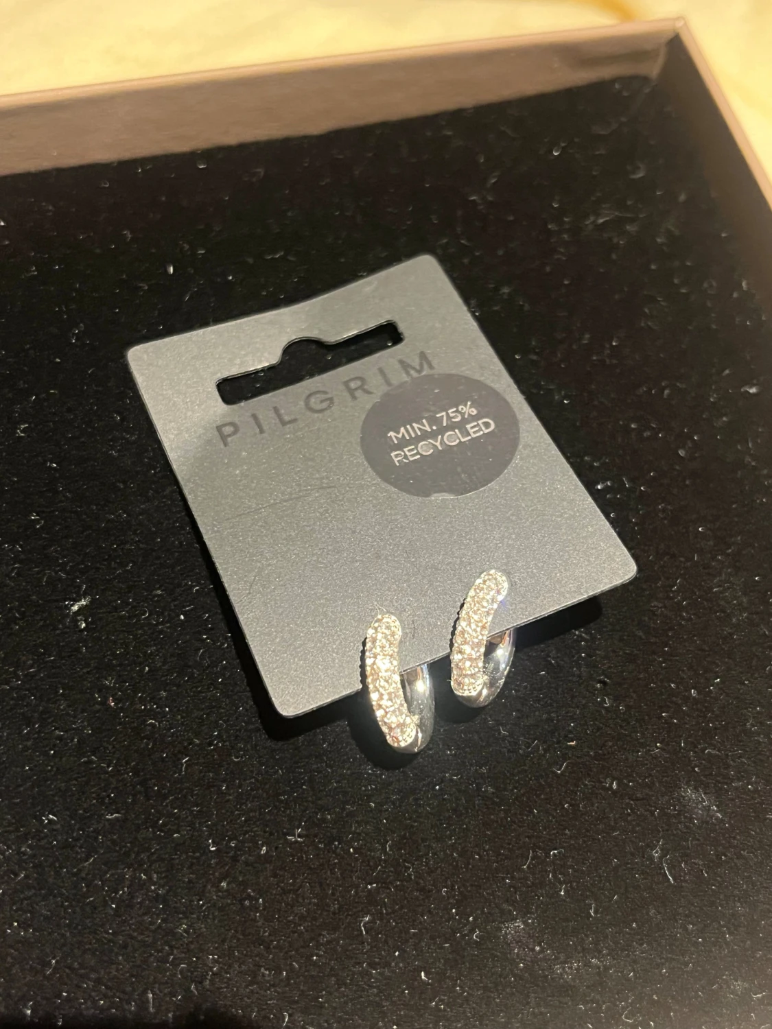 Glittriga silverörhängen från Pilgrim - 1
