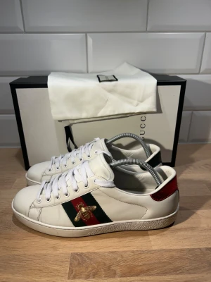 Gucci Ace  - Gucci Ace i otroligt bra skick🙌🏽| Storlek: 42 passar 43 | Ingår: Box och dustbag | Vid frågor eller diskussion om pris är det bara att skriva ✍🏼 | Frakt inom 48h📦