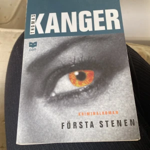 Första stenen - En spännande kriminalroman där unga kriminalassistenten Elina Wiik utreder en mordbrand i Västmanland. Fallet tar oväntade vändningar och sätter både hennes liv och relationer på spel. Perfekt för dig som gillar deckare med starka karaktärer och nervkittlande mysterier.