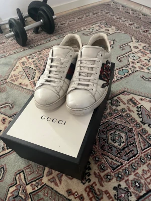 Gucci Ace ✅byte - Tja säljer ett par fetta Gucci ace dojor, dem har få defekter som jag kan skicka bild på annars väldigt bra skick | Storlek 43 | Skriv gärna om du har några frågor eller om du är intresserad | priset är inte hugget i en sten!
