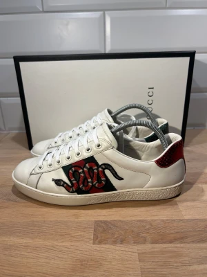 Gucci Ace Snake - Gucci Ace Snake i riktigt fint skick🐍| Storlek: 41 kan passa 42 | Box ingår | Skriv vid frågor eller diskussion om pris | Frakt inom 48h📦