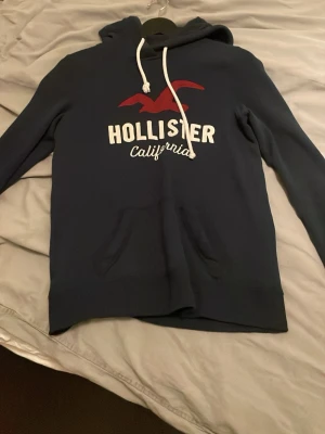 Hollister hoodie - Hollister hoodie storlek S men passar som xs också