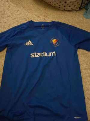 Blå Djurgården fotbollströja Adidas M - Säljer en blå Djurgården IF fotbollströja från Adidas i storlek M till någon i DJRUGÅRDS FAMILJEN❤️❤️❤️❤️ Tröjan har klubbmärket på bröstet, Adidas-logga och Stadium-tryck framtill. Tillverkad i lätt polyester med Climacool-teknologi för extra ventilation. Perfekt för dig som älskar fotboll och Djurgården. 