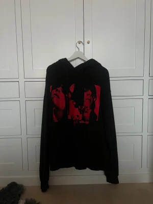 Billie Eilish hoddie - Säljer min äkta Billie Eilish hoddie från hennes hemsida💞den säljs inte längre så därför priset 💞