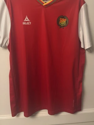 Gais tredjetröja 2024 - Gais tredjetröja som dom bärde i 2 matcher mot Västerås borta och Hammarby borta, 2 möten dom gick obesegrade ur