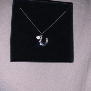 Halsband hästsko - Snyggt silverfärgat halsband från Libenskind Berlin med ett hästsko-hänge dekorerat med små glittriga stenar och en fyrklöver. 