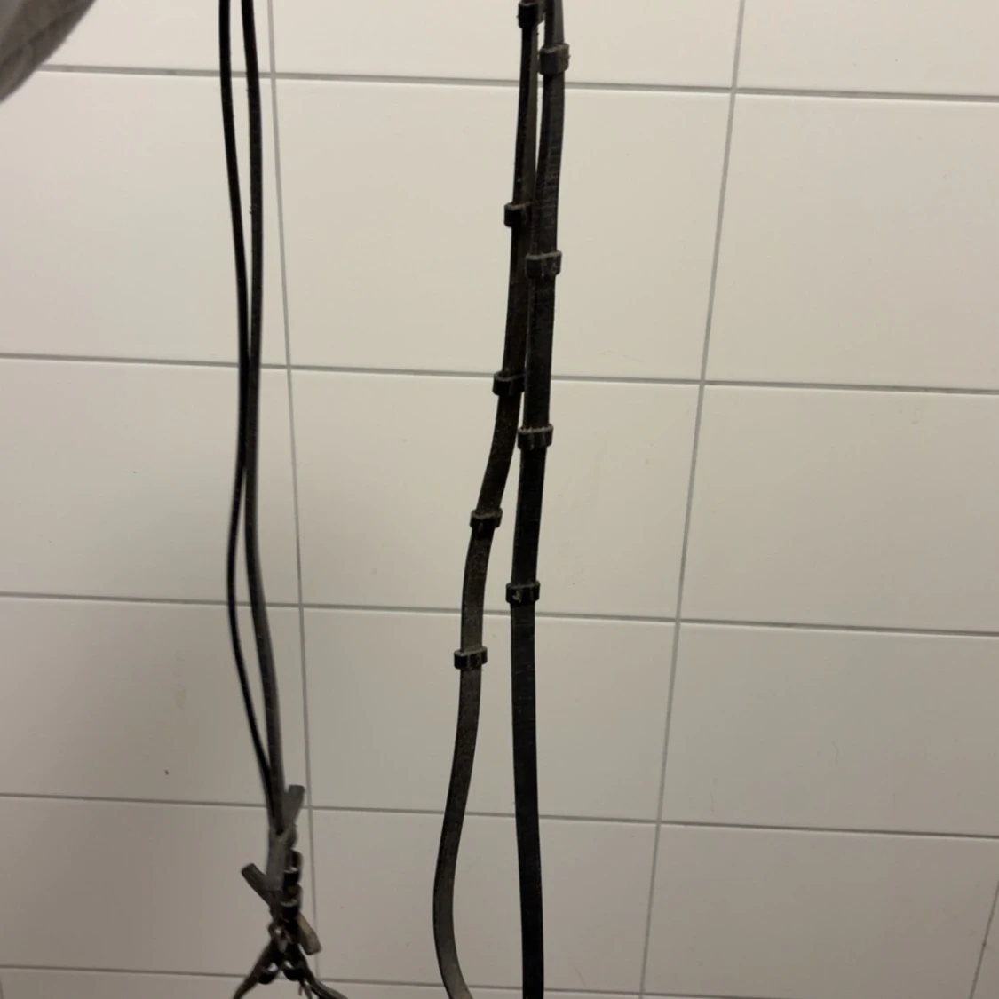 Hästutrustning - Träns, bett och schabrak och täcken  - 2