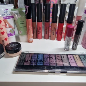 Stort sminkpaket med ögonskugga & läpprodukter med mera! - Säljer ett sminkpaket med Technic Mega Sultry ögonskuggspalett i regnbågens färger, flera matta och glansiga flytande läppstift i nude, rosa, rött och korall, Popfeel concealer, glittereyeliner, och INC.redible primer i rosa flaska med hjärtan. Perfekt för dig som vill testa olika looks!