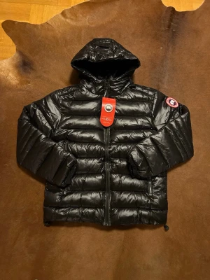Svart dunjacka från Canada Goose - Säljer en svart, glansig dunjacka från Canada Goose med huva och dragkedja framtill. Jackan har det klassiska Canada Goose-märket på ärmen och snygga horisontella quiltade paneler. Perfekt för kalla dagar och har en clean, modern look.