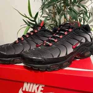 Nike Air Max Plus svart/röd strl 45 - Nike Air Max Plus i svart med röda detaljer och logga. Skorna har en sportig design med synliga luftkuddar i sulan, svarta meshpaneler och röda accenter på snörningen och plösen. Perfekta för dig som gillar streetwear och vill sticka ut.