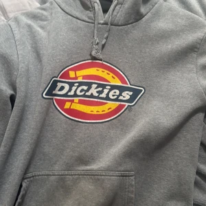 Grå Dickies hoodie med logga - Grå hoodie från Dickies med stor färgglad logga på bröstet. Klassisk känguruficka framtill, snörning i huvan och mjukt material. Perfekt för chill dagar och streetstyle. Snygg och enkel att matcha med jeans eller sweatpants.