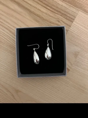 Silver - Bilden visar ett par silvriga örhängen i en ask, ingen väst finns med.