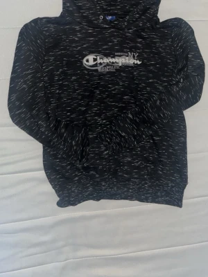 Champions hoodie barn size - Champions hoodie
