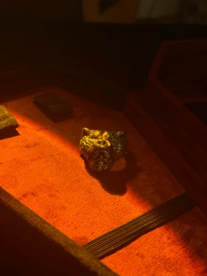 Sjukt cool ring  - En sjuuuukt cool ring! Annorlunda och passar alla outfits