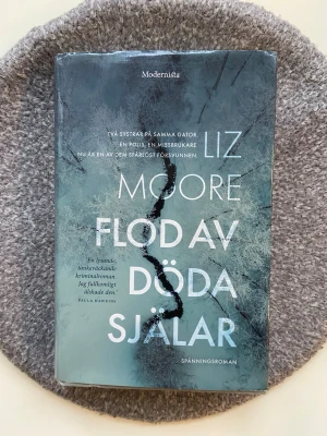 Flod av döda själar av Liz Moore - Spännande roman av Liz Moore. Boken handlar om två systrar i Philadelphia, en polis och en missbrukare, och deras liv på samhällets olika sidor. Perfekt för dig som gillar nervkittlande kriminalromaner. Mycket spännande och bra i fint skick.